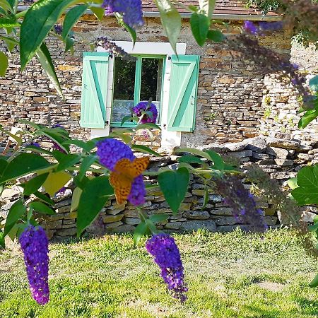 La Rhue Gites - JacuzziJumilhac-le-Grand エクステリア 写真