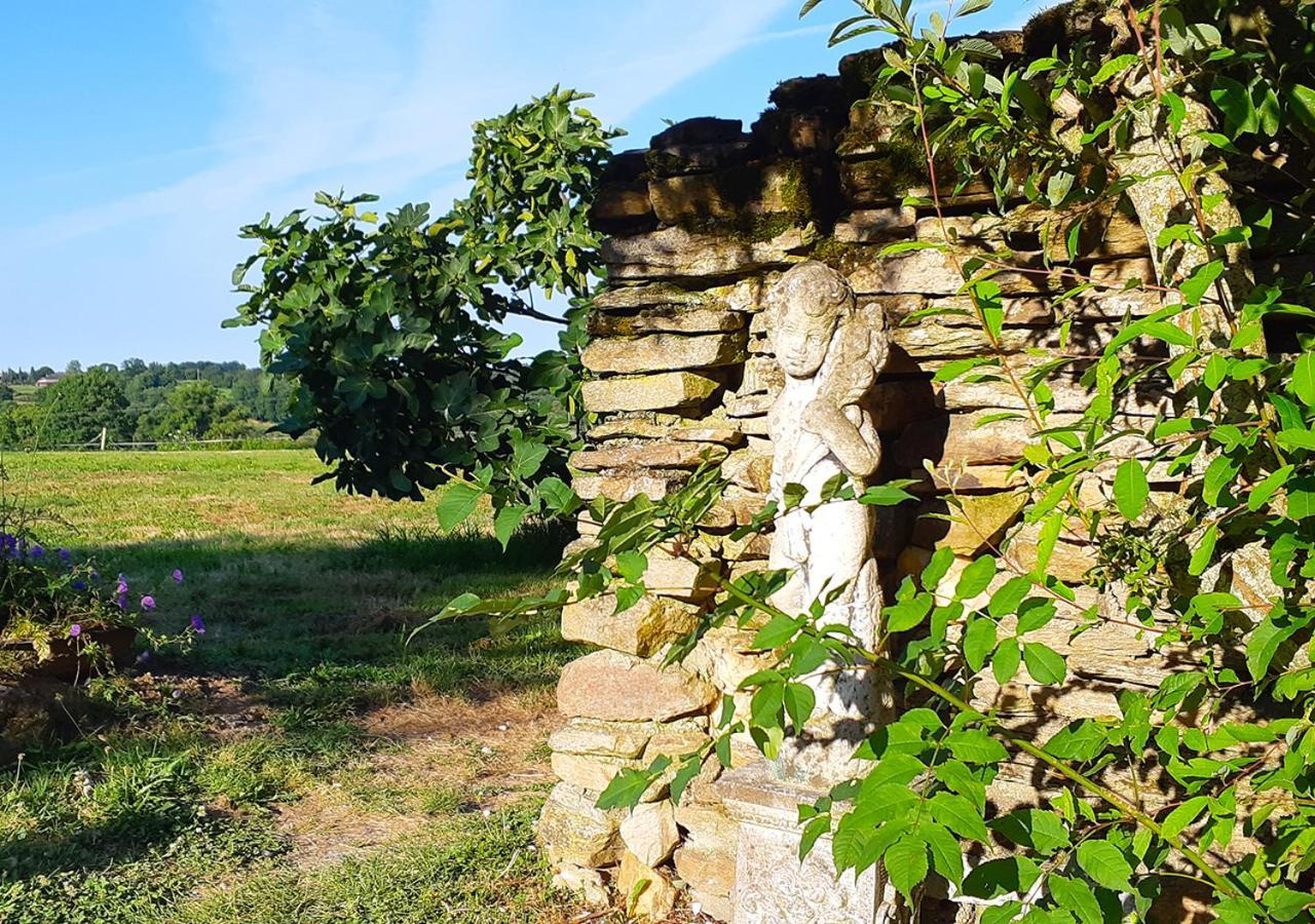 La Rhue Gites - JacuzziJumilhac-le-Grand エクステリア 写真