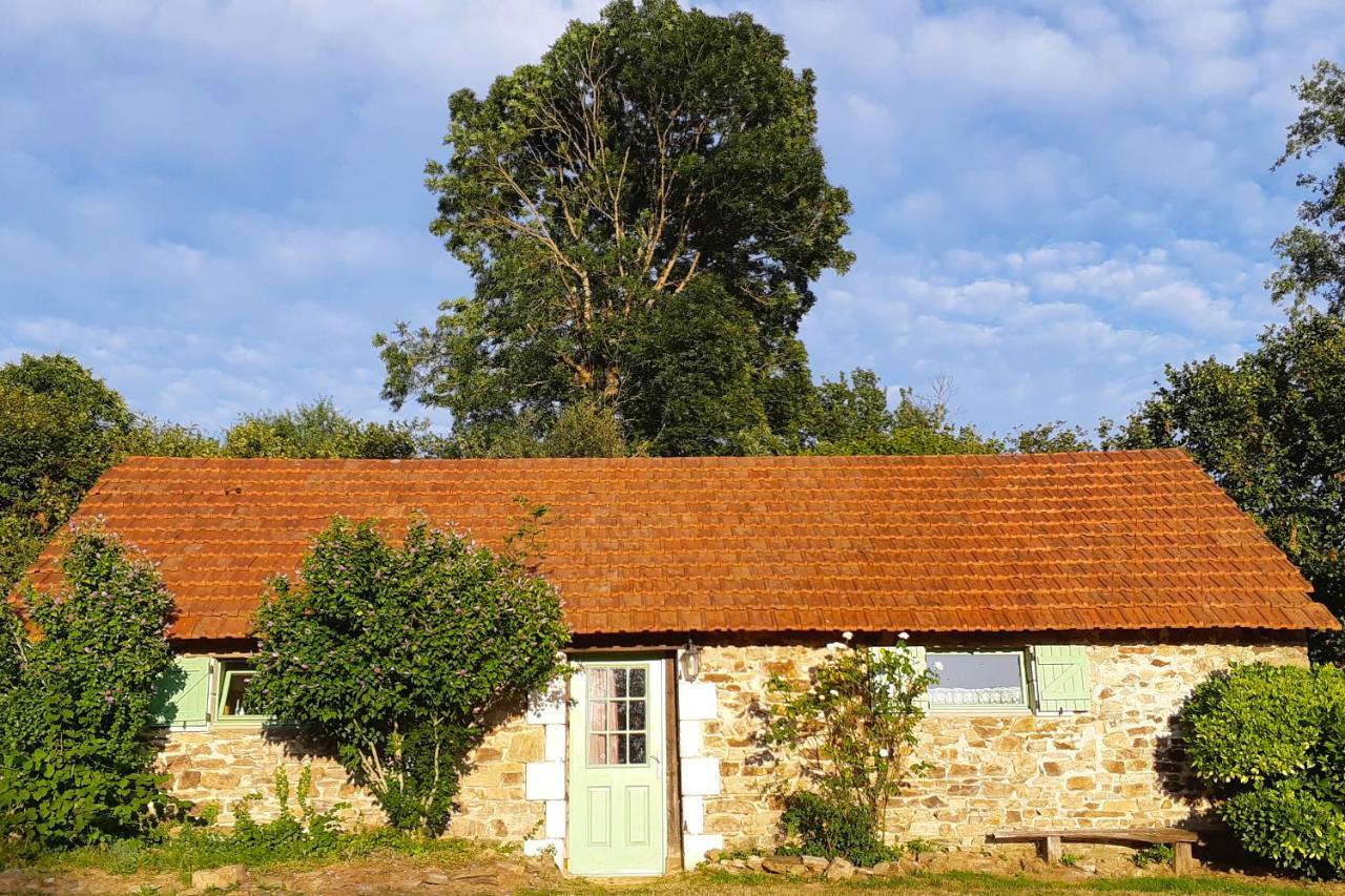 La Rhue Gites - JacuzziJumilhac-le-Grand エクステリア 写真