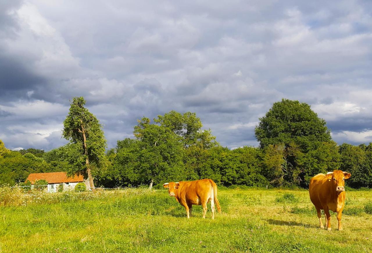 La Rhue Gites - JacuzziJumilhac-le-Grand エクステリア 写真